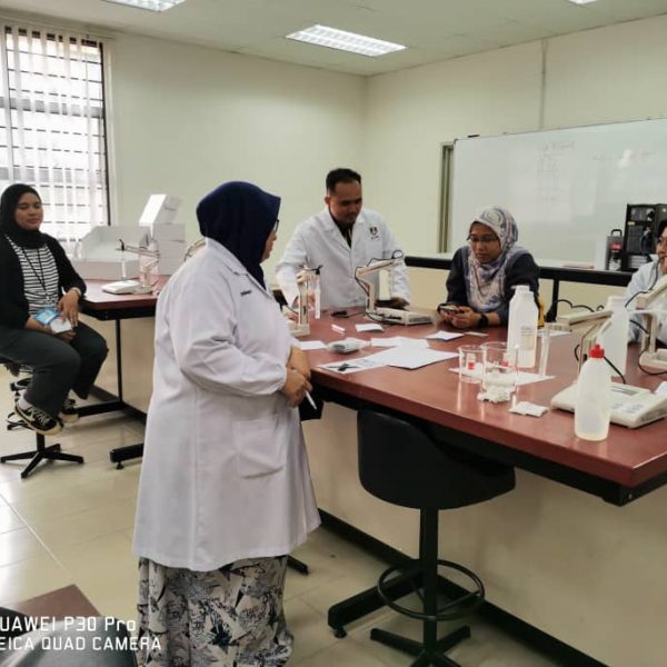 WhatsApp Image 2024-11-07 at 08.46.32